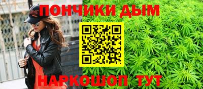 индика Нягань