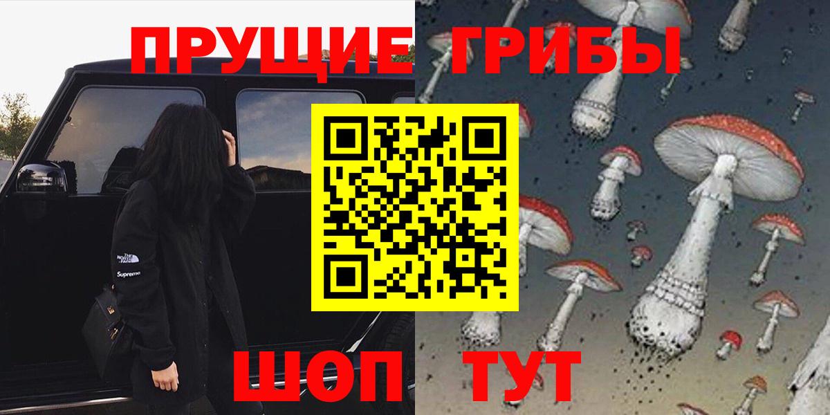 Псилоцибиновые грибы Cubensis Россошь